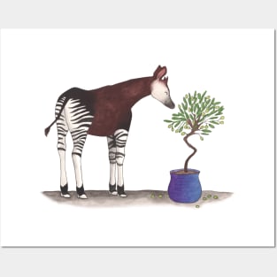 O is for Okapi Posters and Art